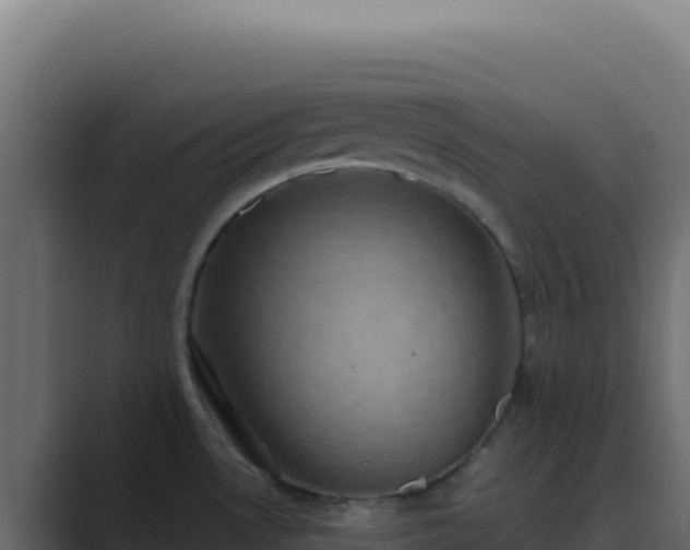 X0000089751530200706281616