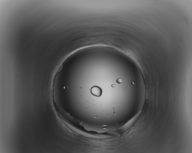 X0000089751532200706281616