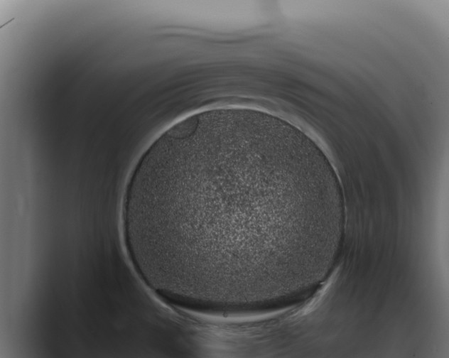 X0000089751533200706281616