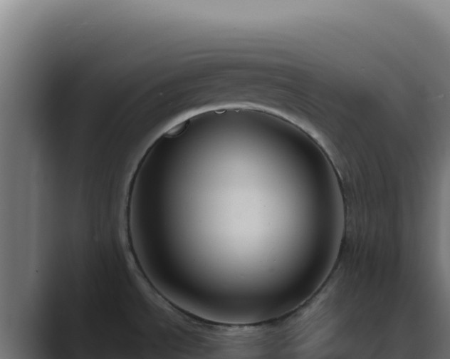 X0000089751534200706281616