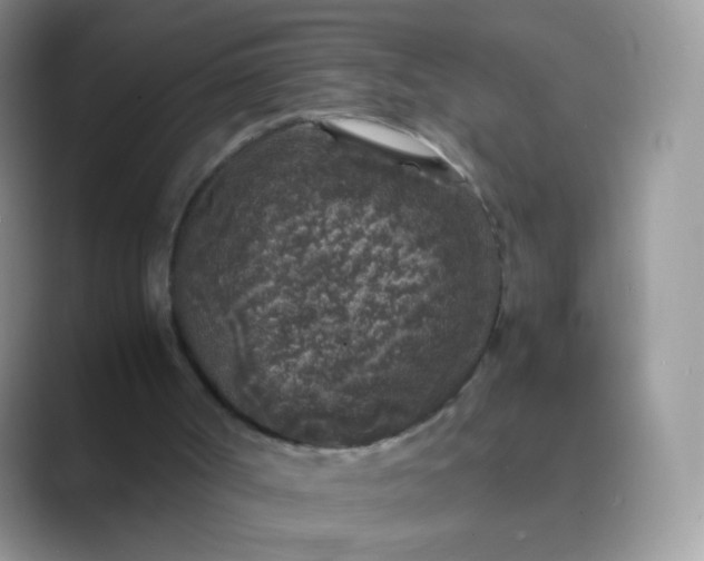 X0000089750002200707051823