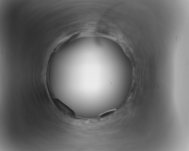 X0000089750003200707051823