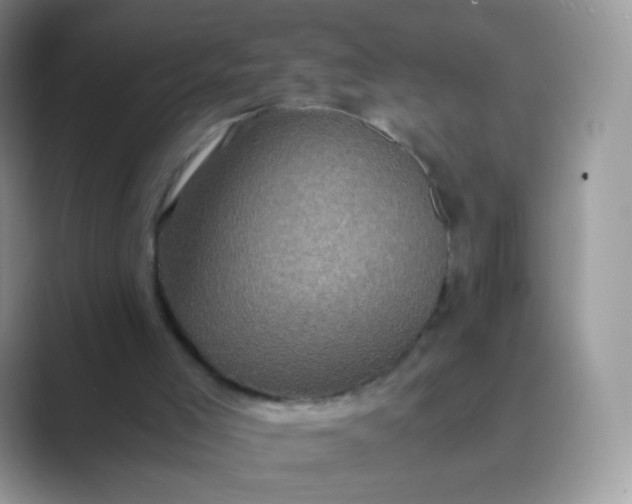 X0000089750005200707051823