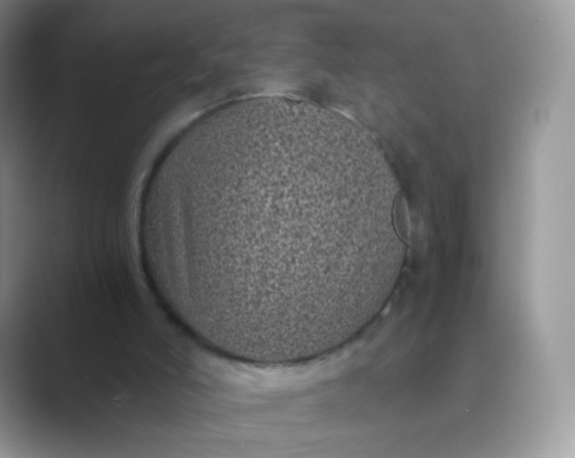 X0000089750006200707051823