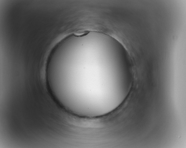 X0000089750008200707051823