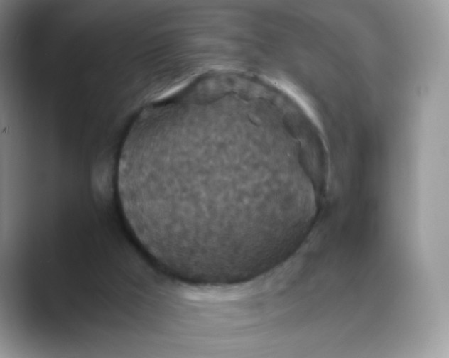 X0000089750009200707051823