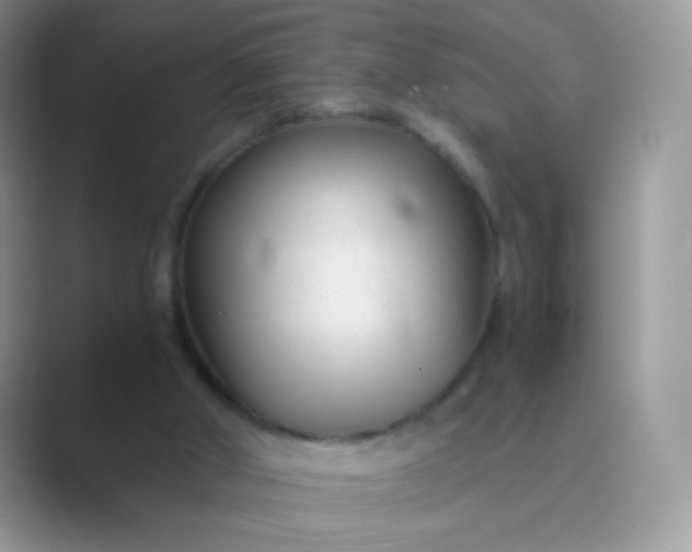 X0000089750010200707051823