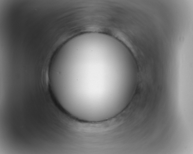 X0000089750011200707051823