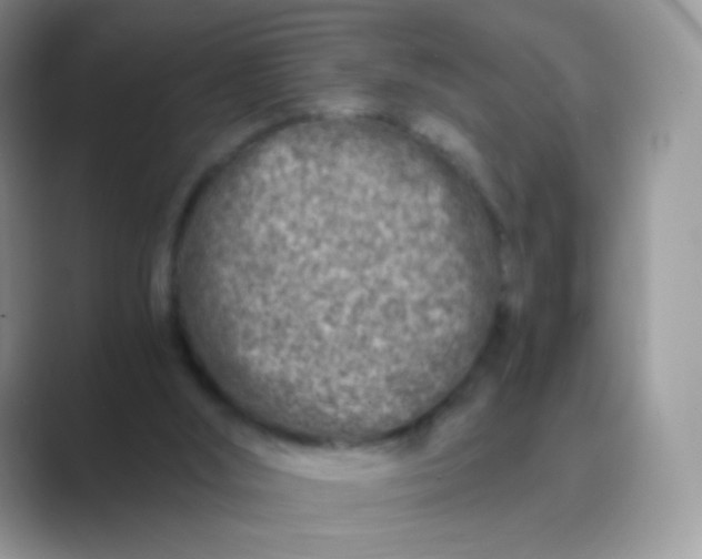 X0000089750012200707051823