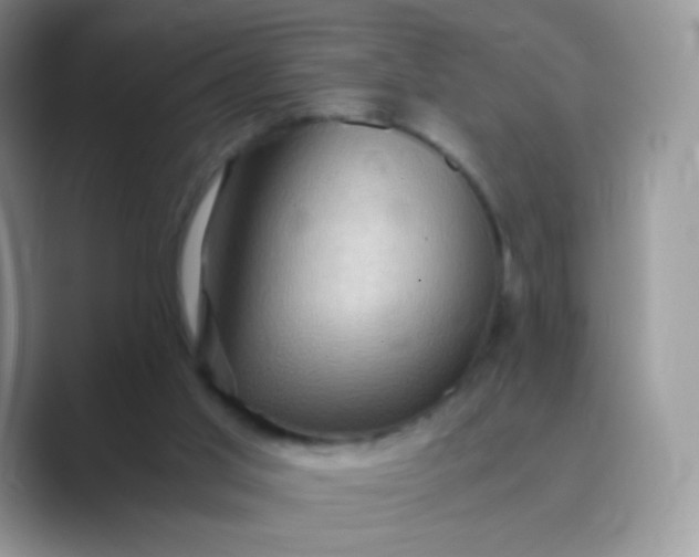 X0000089750013200707051823