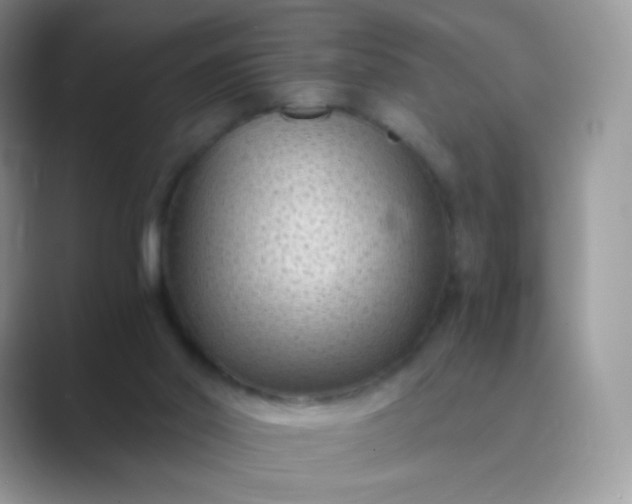 X0000089750014200707051823