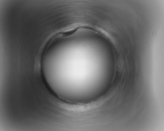 X0000089750015200707051823