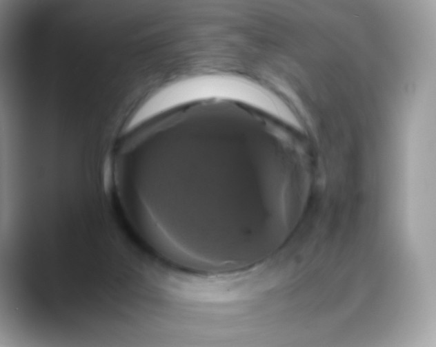 X0000089750019200707051823