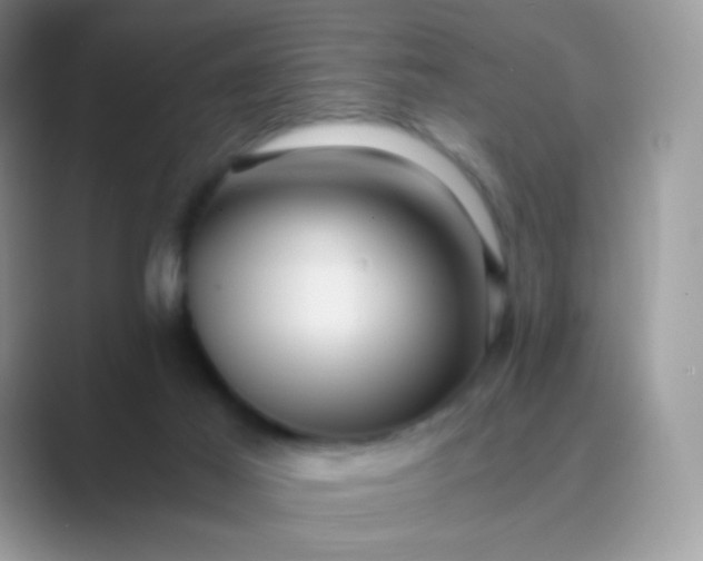 X0000089750021200707051823