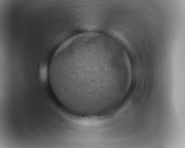 X0000089750024200707051823