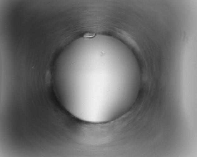 X0000089750025200707051823