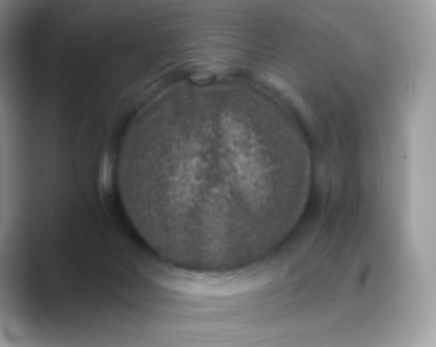 X0000089750026200707051823