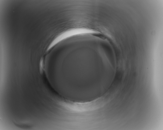 X0000089750027200707051823