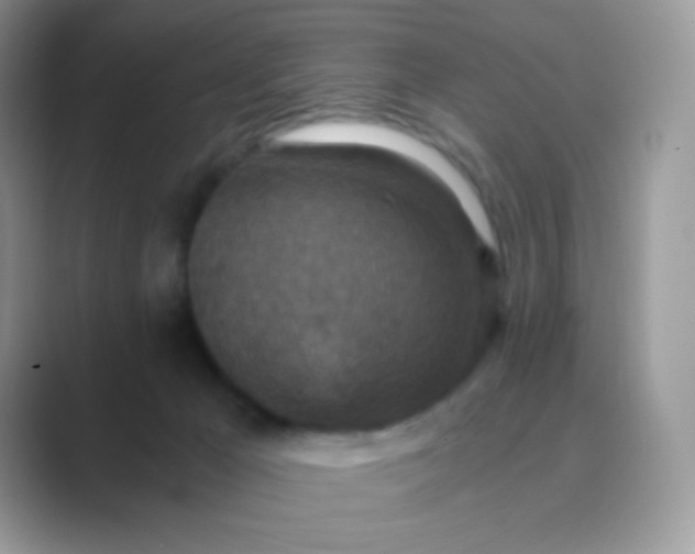 X0000089750029200707051823