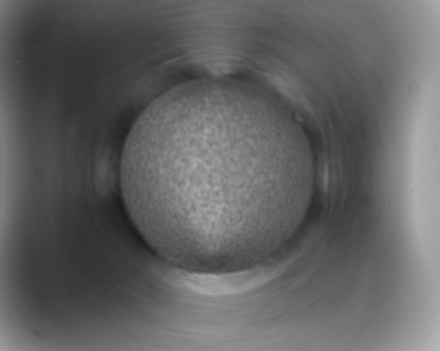 X0000089750030200707051823