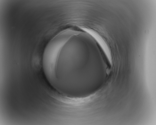 X0000089750031200707051823