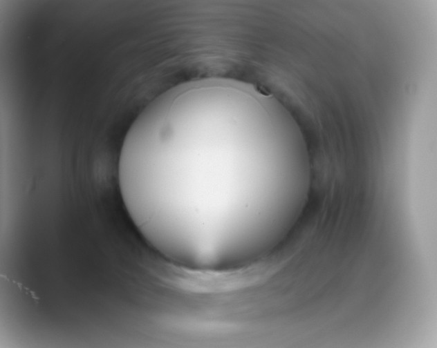 X0000089750034200707051823