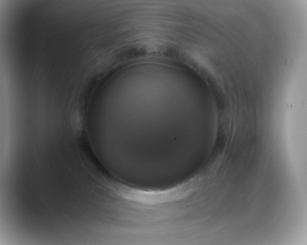 X0000089750039200707051823