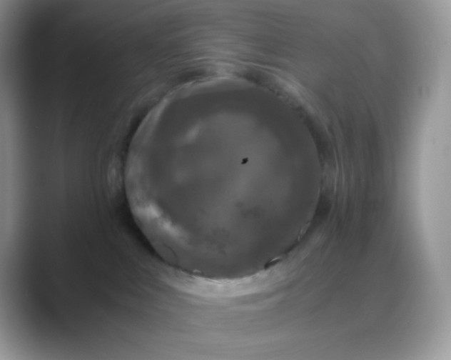 X0000089750043200707051823