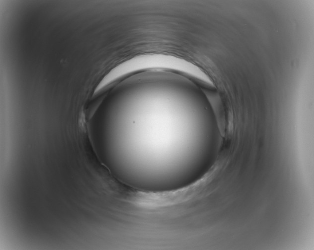 X0000089750045200707051823