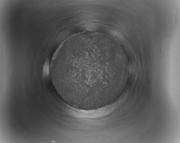 X0000089750046200707051823