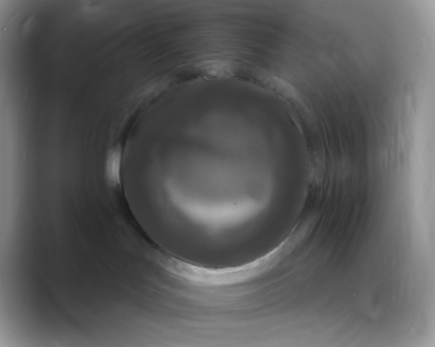 X0000089750047200707051823