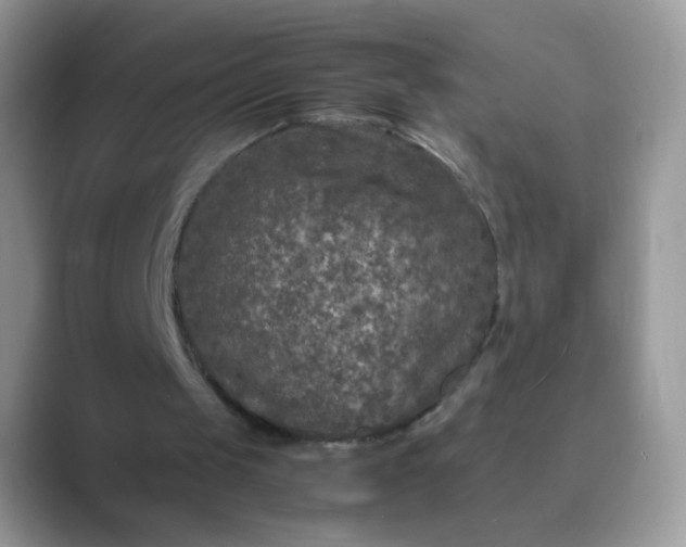 X0000089750049200707051822