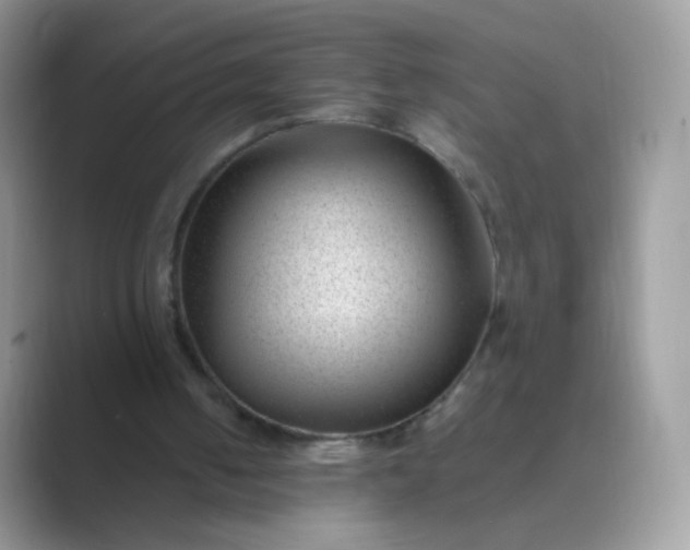 X0000089750050200707051822