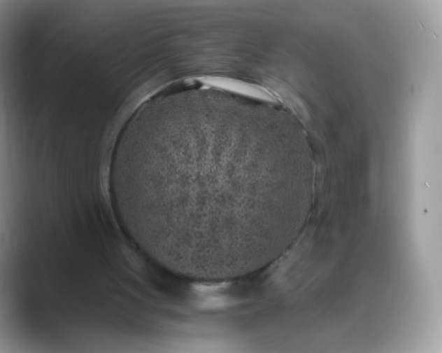 X0000089750051200707051822