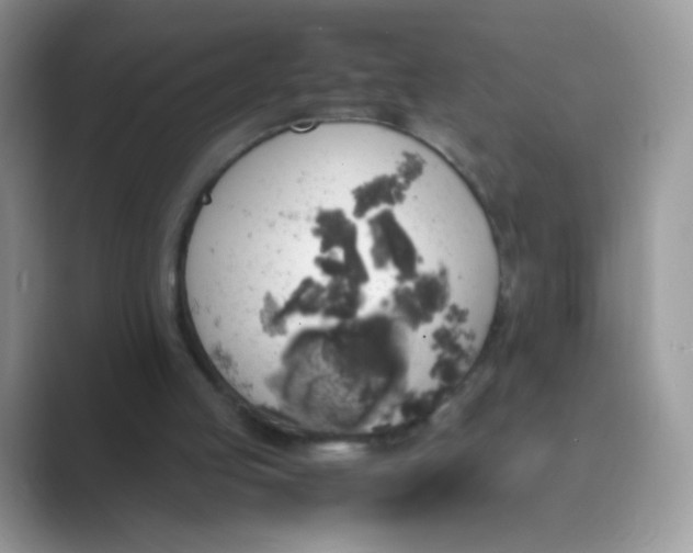 X0000089750053200707051822