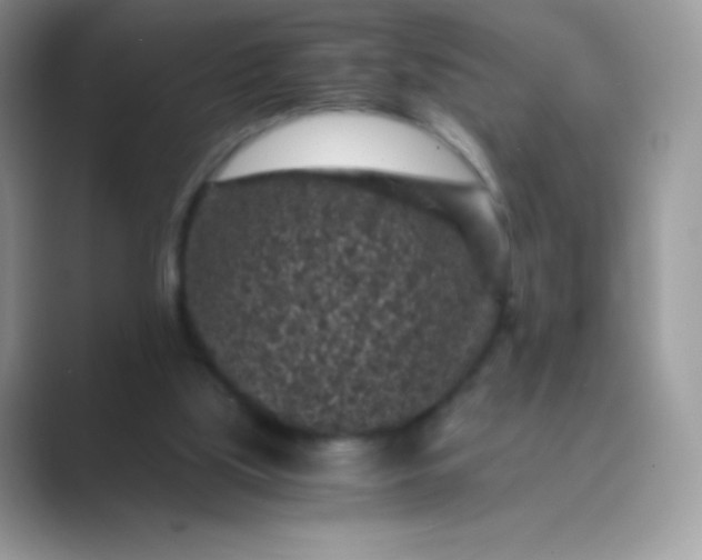 X0000089750059200707051822