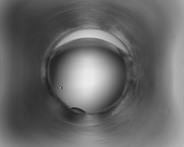 X0000089750060200707051822