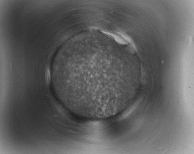 X0000089750061200707051822