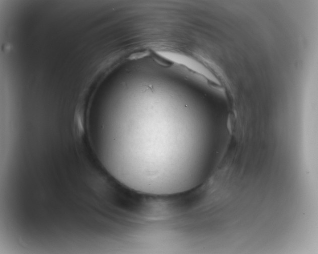 X0000089750062200707051822