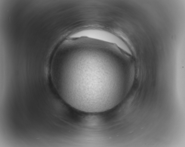 X0000089750063200707051823