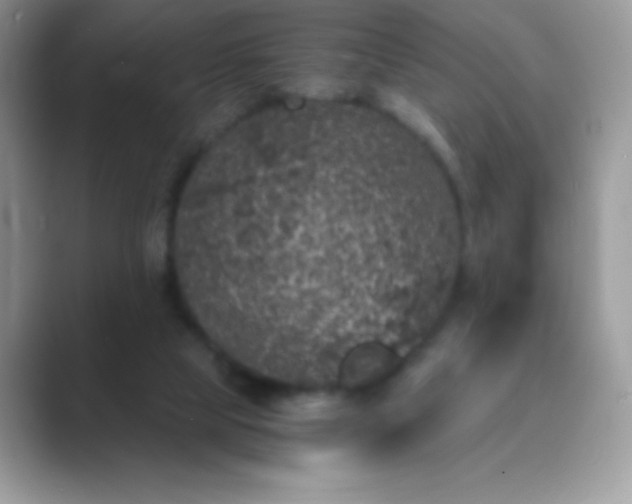 X0000089750065200707051823