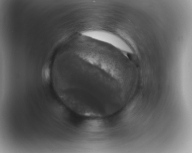 X0000089750067200707051823