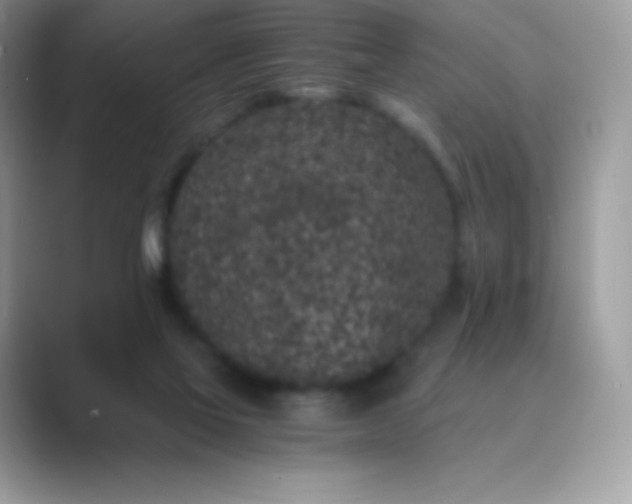 X0000089750069200707051823