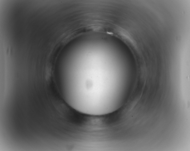 X0000089750073200707051823