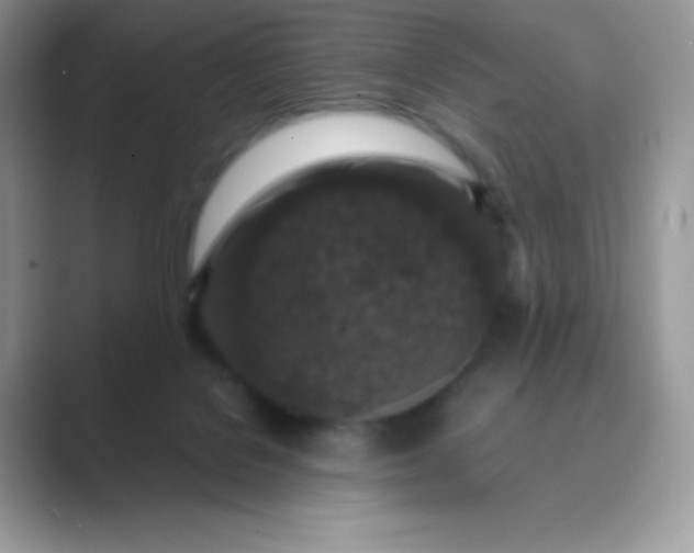 X0000089750076200707051823