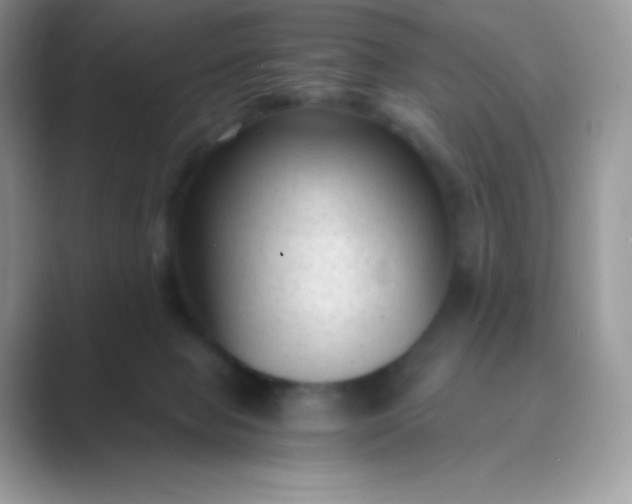 X0000089750077200707051823