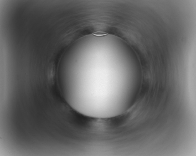 X0000089750082200707051823