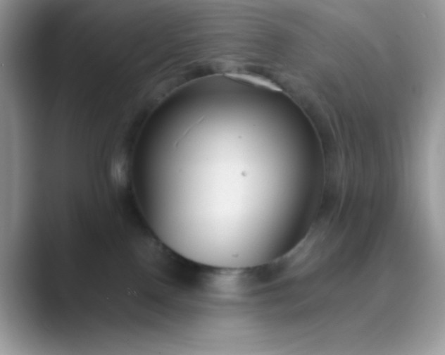 X0000089750090200707051823