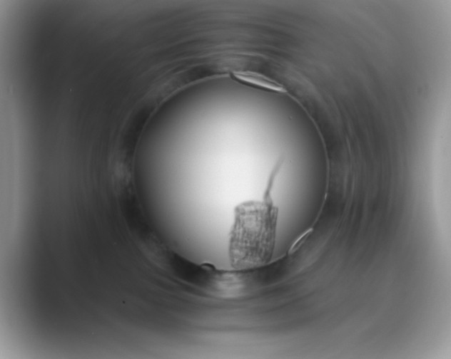 X0000089750091200707051823