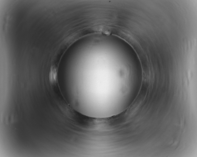 X0000089750095200707051823